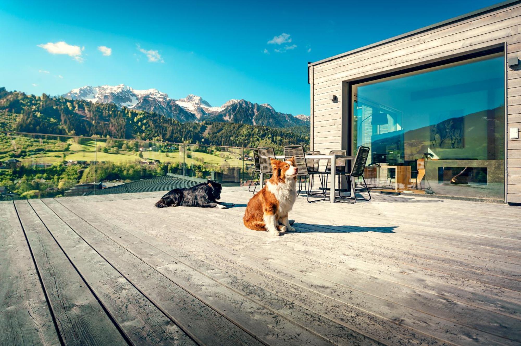 Chalets Coburg Шладмінг Номер фото